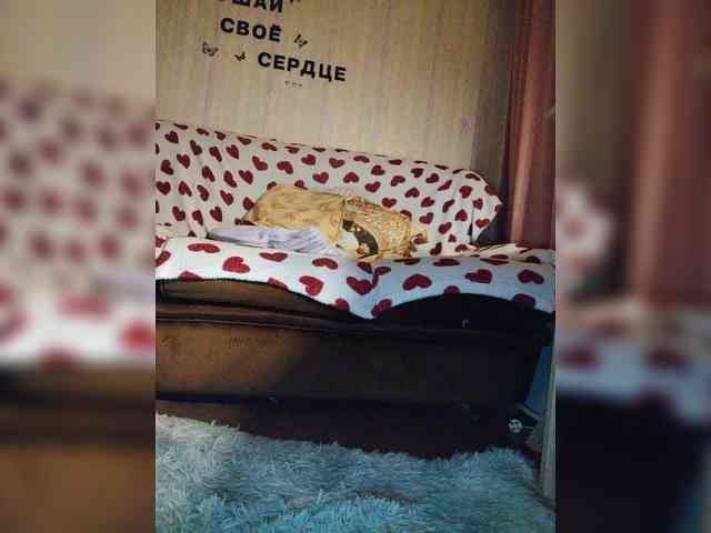 Blondi_Love webcam