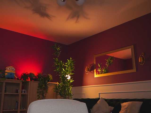 Sex chat gratuit in direct cu AshleysinnX pe BongaCams