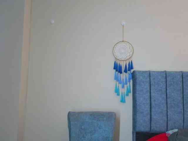 ArtesanaMK webcam