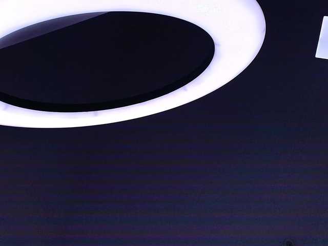 gabry-leone's BongaCams show and profile