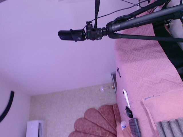 gabry-leone's BongaCams show and profile