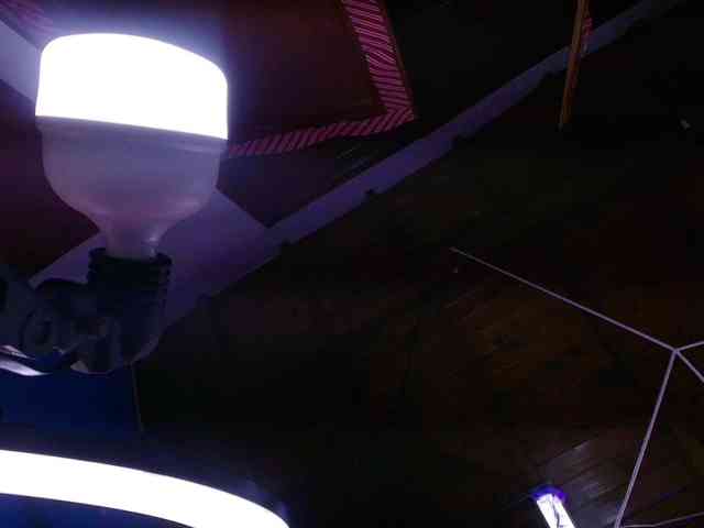 gabry-leone webcam