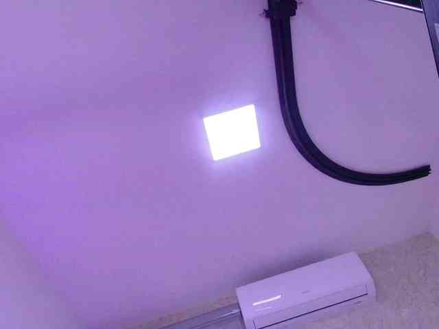 gabry-leone gabry-leone