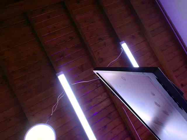 gabry-leone webcam