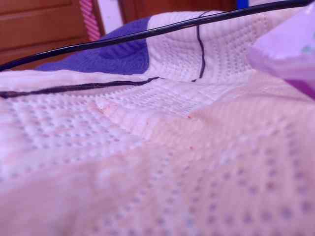 gabry-leone webcam