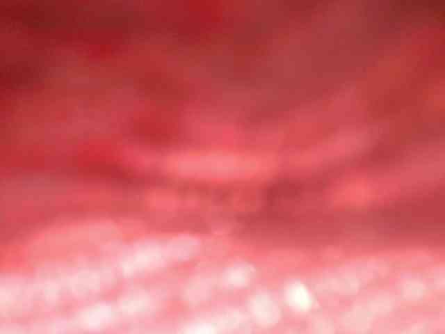 gabry-leone webcam