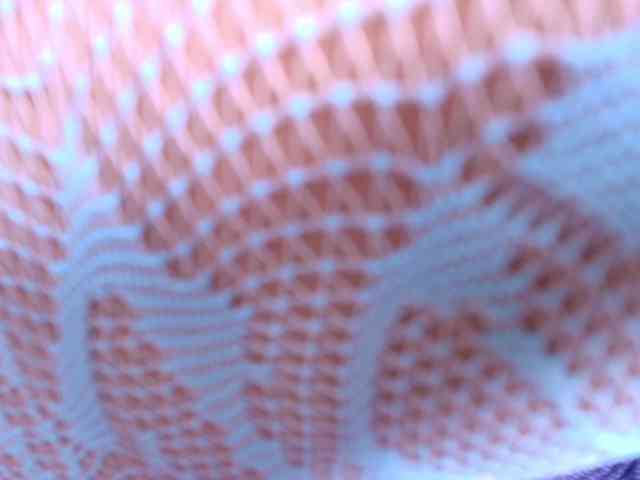 gabry-leone webcam