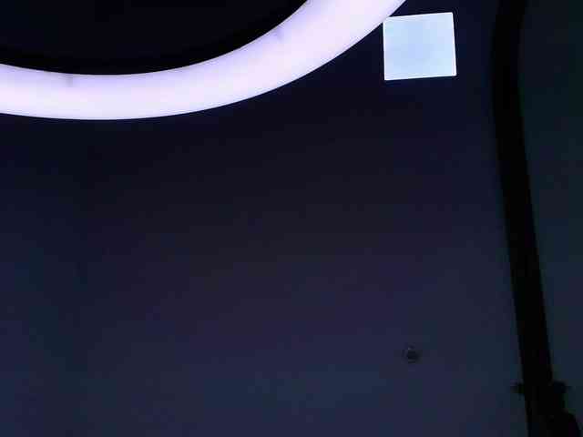 gabry-leone gabry-leone