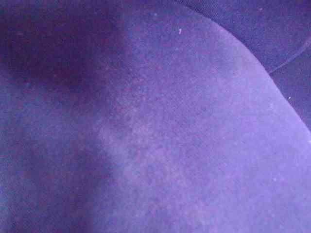 gabry-leone webcam