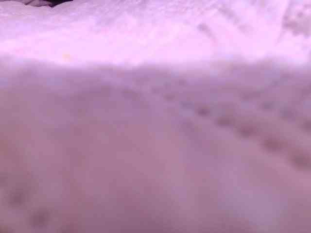 gabry-leone