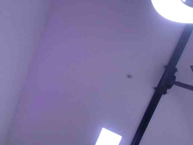 gabry-leone gabry-leone