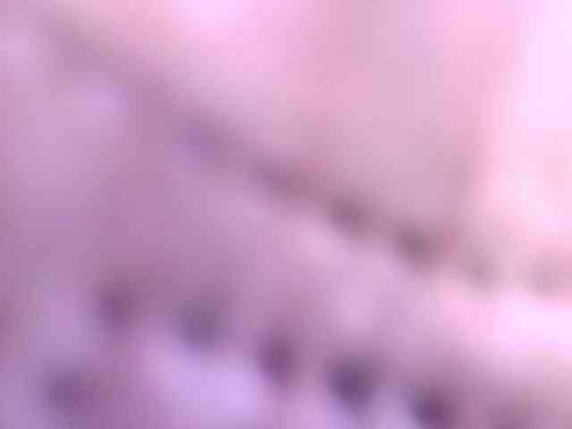 gabry-leone webcam
