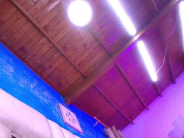 gabry-leone webcam