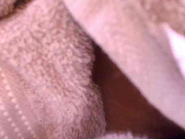 gabry-leone webcam