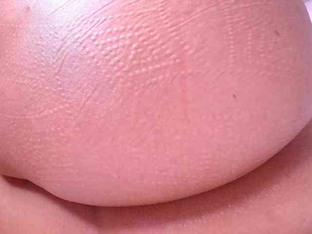 gabry-leone webcam