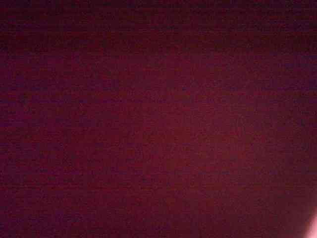 gabry-leone webcam
