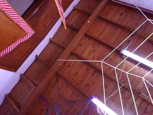 gabry-leone webcam