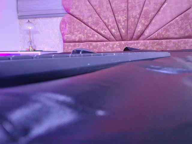 gabry-leone gabry-leone