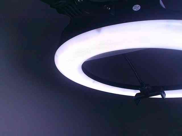 gabry-leone gabry-leone