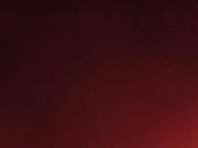 gabry-leone gabry-leone