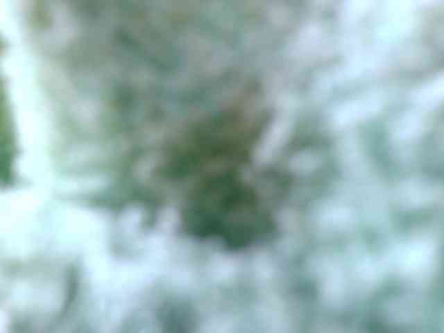gabry-leone webcam