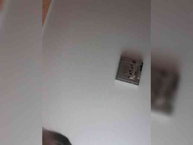 free online chat LizBetty