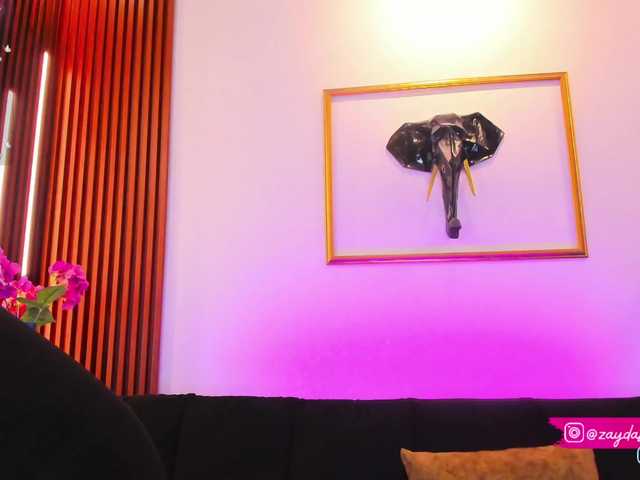 Zayyda from BongaCams is Freechat