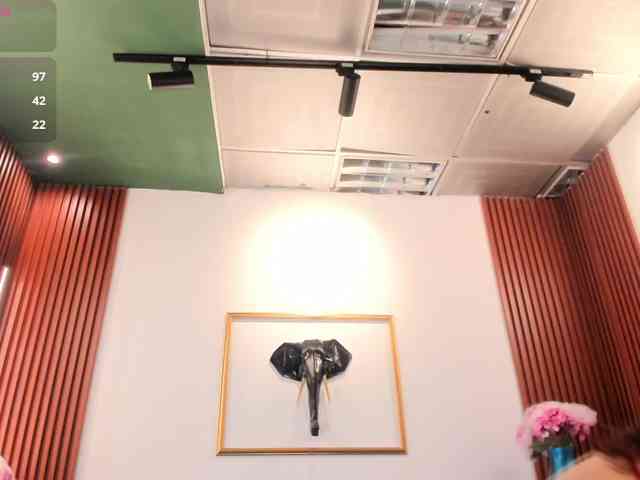 Zayyda webcam