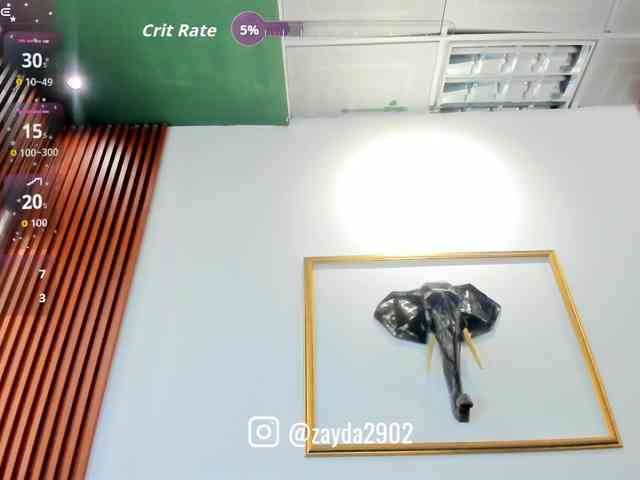 Zayyda webcam