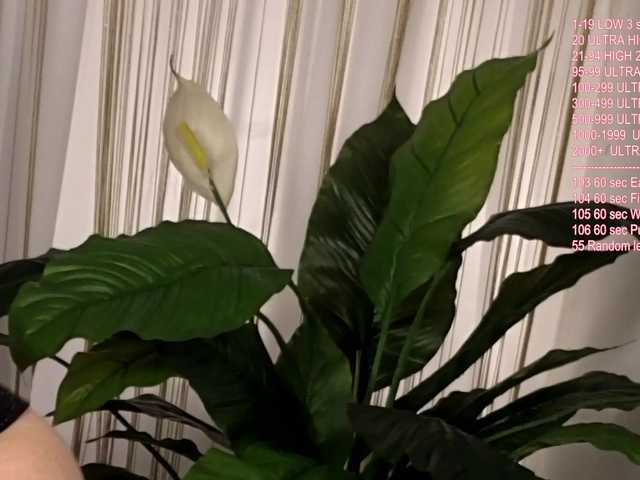 Vik-Love's BongaCams show and profile