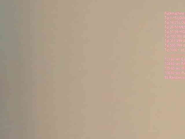 Vik-Love webcam