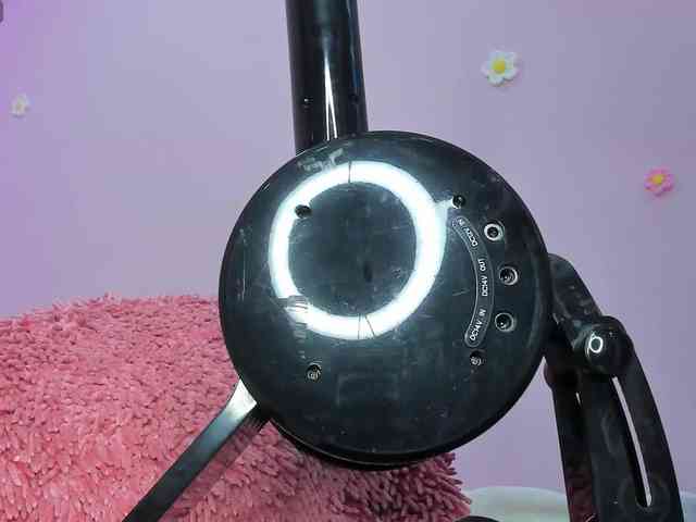 dixxiee webcam