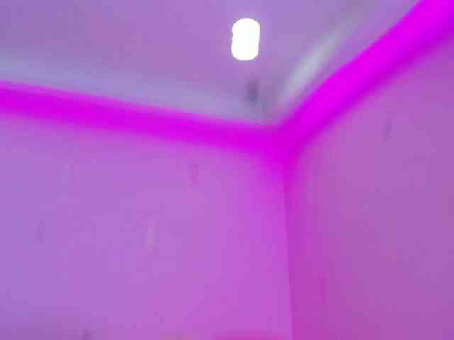 dixxiee webcam