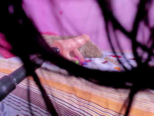 dixxiee webcam