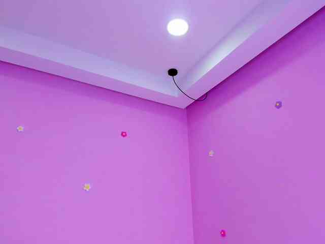 dixxiee webcam