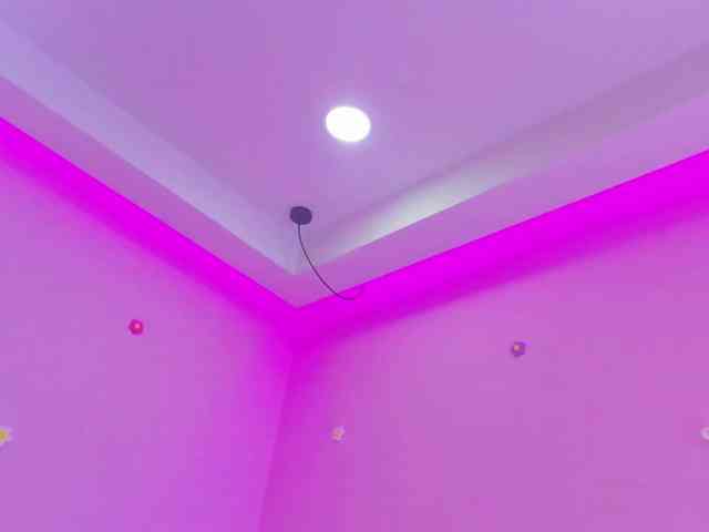 dixxiee webcam