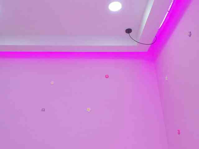 dixxiee webcam