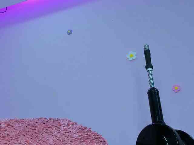 dixxiee webcam