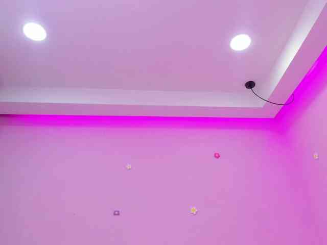dixxiee webcam