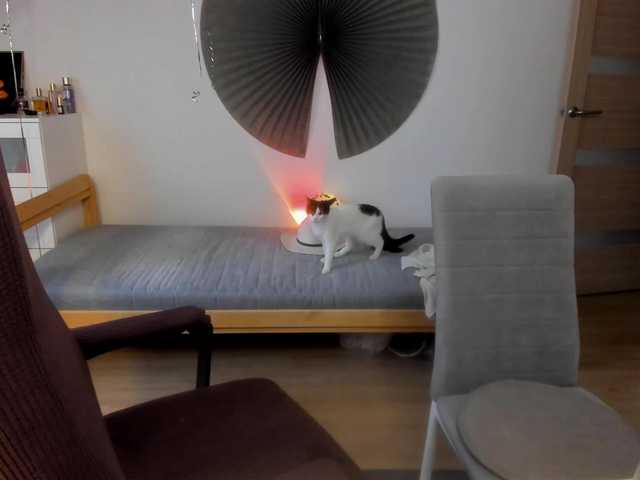 Preview of la-vida-loca