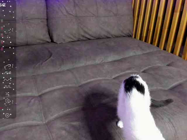 la-vida-loca webcam