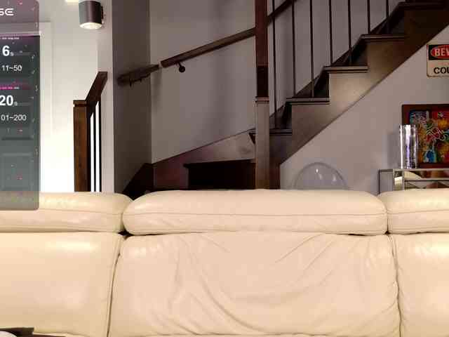 FitCougar webcam