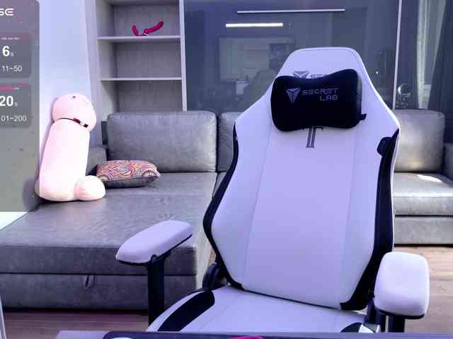 FitCougar webcam