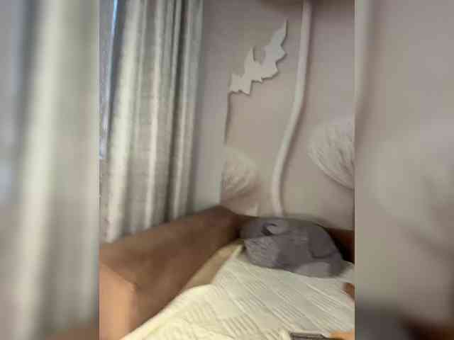 anyuta1212 anyuta1212