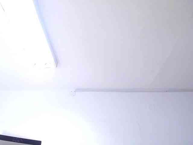 exotic-karmella webcam