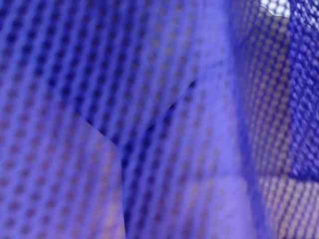 exotic-karmella webcam