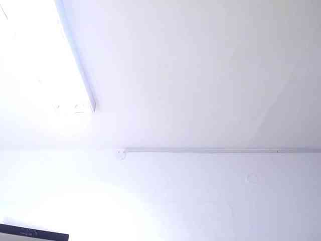 exotic-karmella webcam