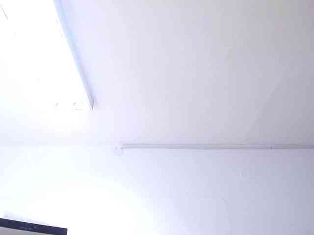 exotic-karmella webcam