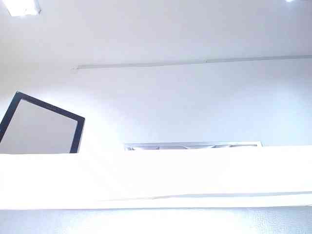 exotic-karmella webcam