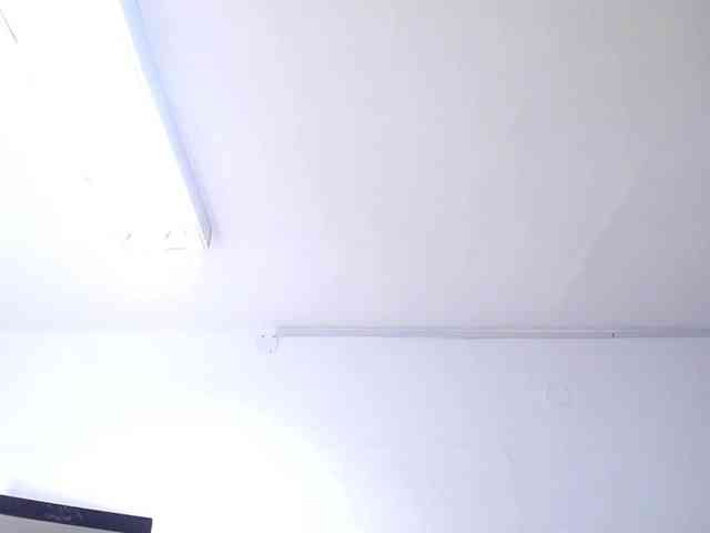 exotic-karmella webcam